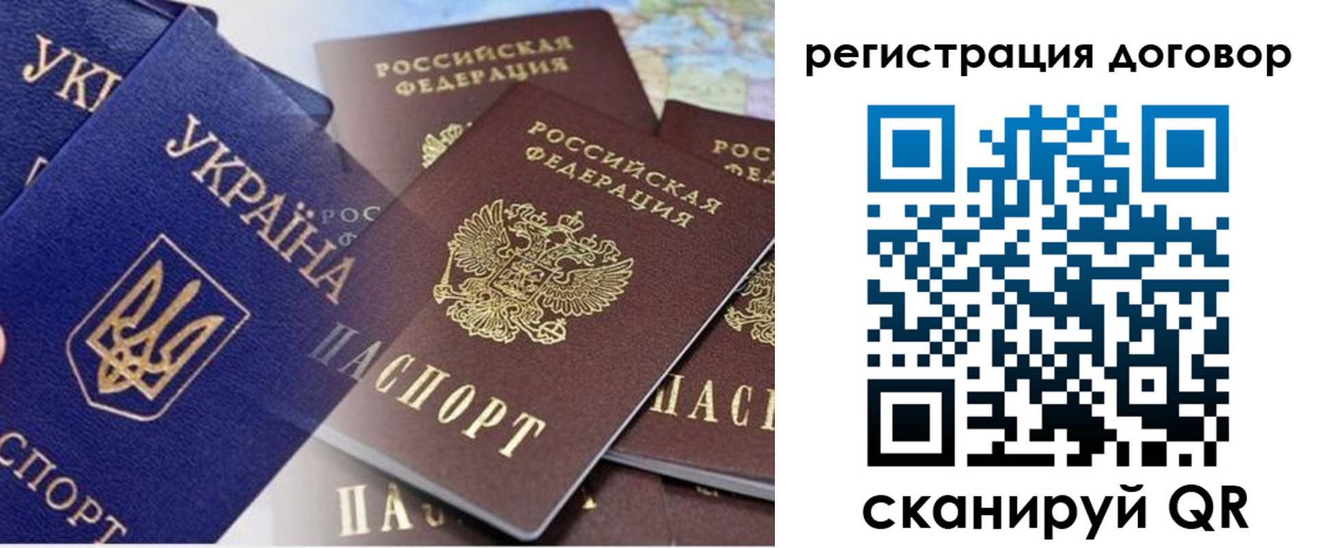 прописка гарантия в Светлом